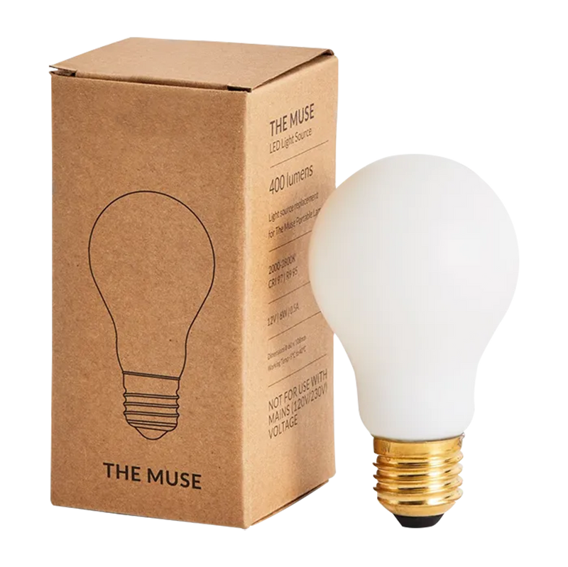 Light Bulb Boxes