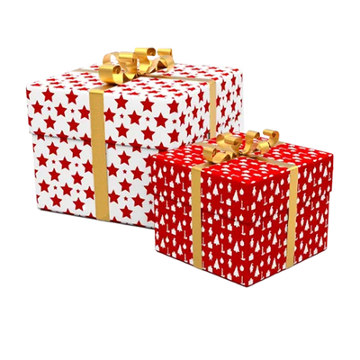 Cardboard Gift Box